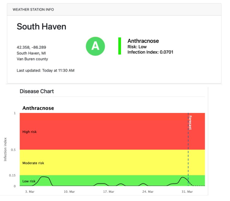 Photo 5 blueberry.jpg